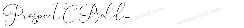 ProspectC Bold字体转换